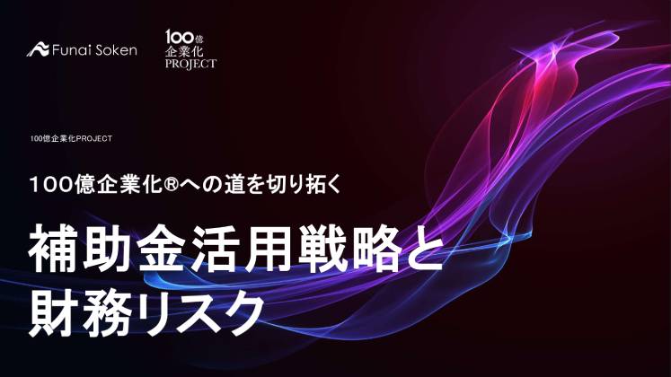 100億企業化®への道を切り拓く 補助金活用戦略と財務リスク