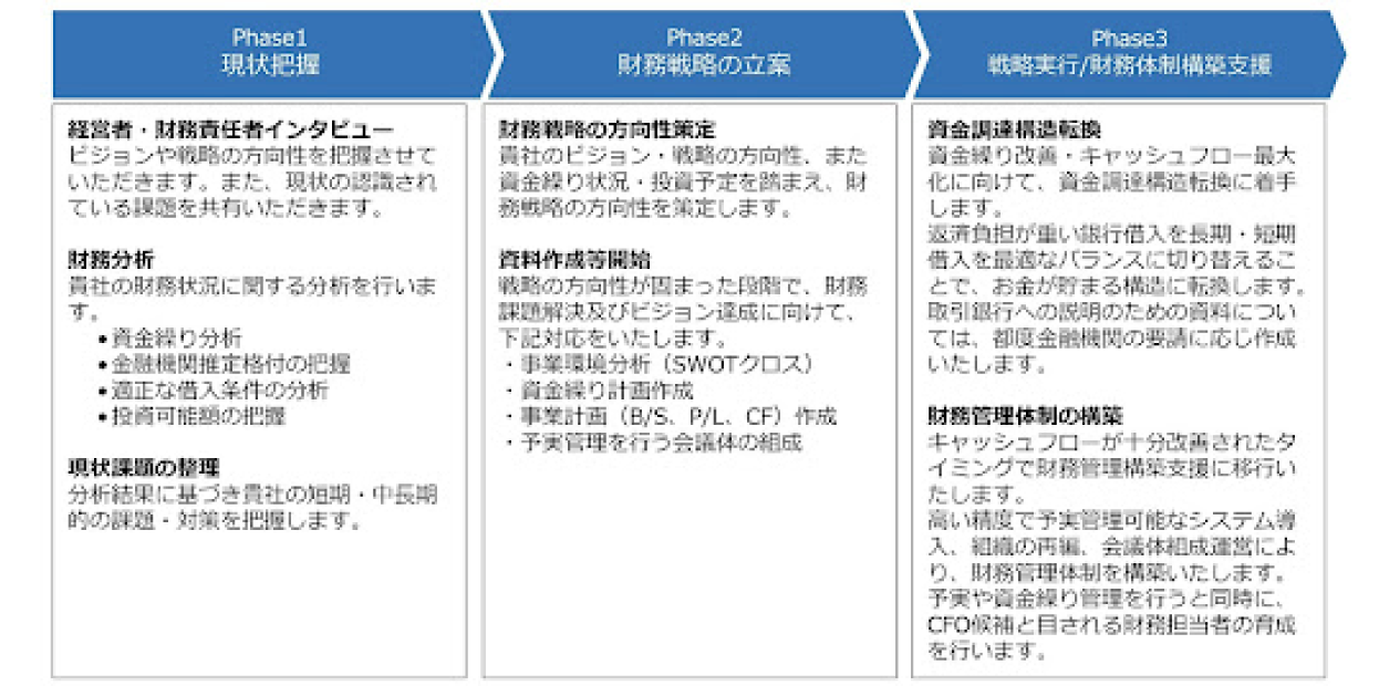 現状把握、財務戦略の立案、戦略実行/財務体制構築支援